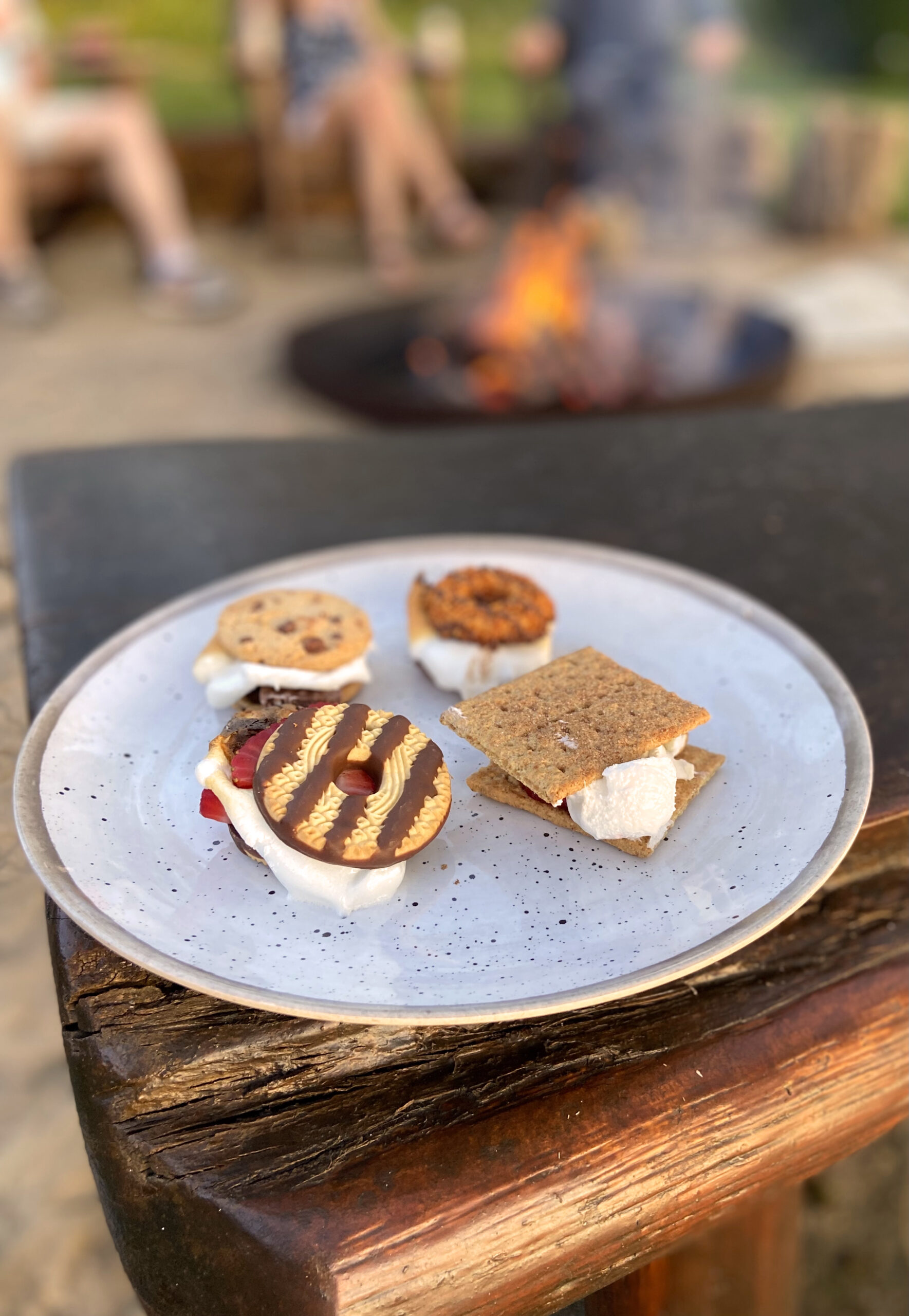 Plate with S'mores made from various different cookies and graham crackers in front of a crackling fire.